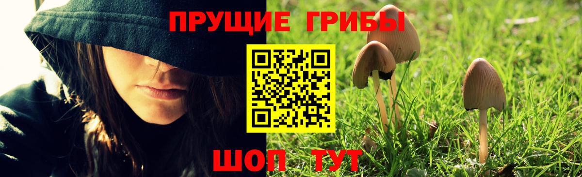 Псилоцибиновые грибы MAGIC MUSHROOMS Владивосток